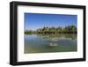 Germany, Bavaria, Lower Bavaria, Inn, Bad Fussing, District Aigen-Udo Siebig-Framed Photographic Print