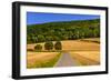 Germany, Bavaria, Lower Franconia, 'FrŠnkisches Saaletal' (Saale Valley), WolfsmŸnster-Udo Siebig-Framed Photographic Print