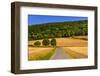 Germany, Bavaria, Lower Franconia, 'FrŠnkisches Saaletal' (Saale Valley), WolfsmŸnster-Udo Siebig-Framed Photographic Print