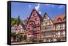 Germany, Bavaria, Lower Franconia, Mainfranken, the Main River-Udo Siebig-Framed Stretched Canvas
