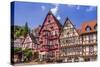 Germany, Bavaria, Lower Franconia, Mainfranken, the Main River-Udo Siebig-Stretched Canvas