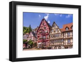 Germany, Bavaria, Lower Franconia, Mainfranken, the Main River-Udo Siebig-Framed Photographic Print