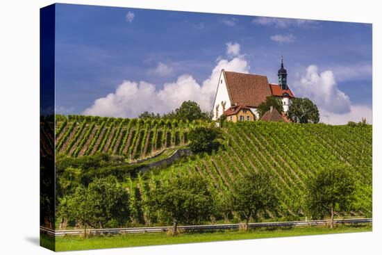Germany, Bavaria, Lower Franconia, Mainfranken, Volkach, Pilgrimage Church Maria in the Vineyard-Udo Siebig-Stretched Canvas