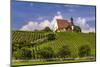 Germany, Bavaria, Lower Franconia, Mainfranken, Volkach, Pilgrimage Church Maria in the Vineyard-Udo Siebig-Mounted Photographic Print