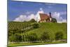Germany, Bavaria, Lower Franconia, Mainfranken, Volkach, Pilgrimage Church Maria in the Vineyard-Udo Siebig-Mounted Photographic Print