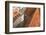 Germany, Bavaria, Munich, city centre, 'Alter Peter' (church of St Peter), roof, detail-Christine Meder stage-art.de-Framed Photographic Print