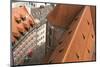 Germany, Bavaria, Munich, city centre, 'Alter Peter' (church of St Peter), roof, detail-Christine Meder stage-art.de-Mounted Photographic Print