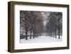 Germany, Bavaria, Munich. Hofgarten Park with early snow-Walter Bibikow-Framed Photographic Print