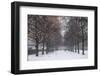 Germany, Bavaria, Munich. Hofgarten Park with early snow-Walter Bibikow-Framed Photographic Print