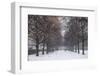 Germany, Bavaria, Munich. Hofgarten Park with early snow-Walter Bibikow-Framed Photographic Print