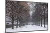 Germany, Bavaria, Munich. Hofgarten Park with early snow-Walter Bibikow-Mounted Photographic Print