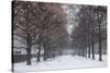 Germany, Bavaria, Munich. Hofgarten Park with early snow-Walter Bibikow-Stretched Canvas