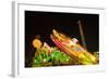 Germany, Bavaria, Munich, Theresienwiese, Oktoberfest, Play Ball Carousel, Night-Udo Siebig-Framed Photographic Print