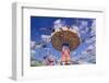 Germany, Bavaria, Munich, Theresienwiese Oktoberfest, Whirligig-Udo Siebig-Framed Photographic Print