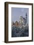 Germany, Bavaria, Neuschwanstein Castle in Winter, Morning Fog, Schwangau Near FŸssen-Uwe Steffens-Framed Photographic Print