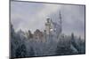 Germany, Bavaria, Neuschwanstein Castle in Winter, Morning Fog, Schwangau Near FŸssen-Uwe Steffens-Mounted Photographic Print