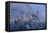 Germany, Bavaria, Neuschwanstein Castle in Winter, Morning Fog, Schwangau Near FŸssen-Uwe Steffens-Framed Stretched Canvas