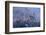 Germany, Bavaria, Neuschwanstein Castle in Winter, Morning Fog, Schwangau Near FŸssen-Uwe Steffens-Framed Photographic Print