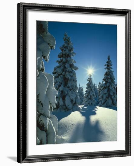 Germany, Bavaria, Neuschwanstein Castle, Mountains, Lake 'Alpsee'-Thonig-Framed Photographic Print