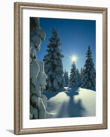 Germany, Bavaria, Neuschwanstein Castle, Mountains, Lake 'Alpsee'-Thonig-Framed Photographic Print