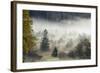 Germany, Bavaria, Penzberg, Moor, Conifers-Ralf Gerard-Framed Photographic Print