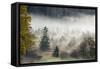 Germany, Bavaria, Penzberg, Moor, Conifers-Ralf Gerard-Framed Stretched Canvas