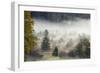 Germany, Bavaria, Penzberg, Moor, Conifers-Ralf Gerard-Framed Photographic Print