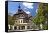 Germany, Bavaria, Regensburg, Cityscape-Chris Seba-Framed Stretched Canvas