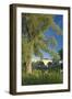 Germany, Bavaria, Regensburg, Danube Meadows, Jahn Island-Chris Seba-Framed Premium Photographic Print