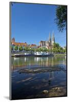 Germany, Bavaria, Regensburg, Danube Shore, Museum Ship, Cathedral-Chris Seba-Mounted Photographic Print