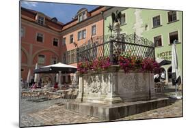 Germany, Bavaria, Regensburg, Krauterer Markt-Chris Seba-Mounted Photographic Print