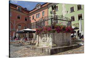 Germany, Bavaria, Regensburg, Krauterer Markt-Chris Seba-Stretched Canvas