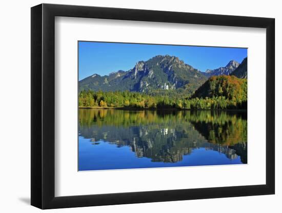 Germany, Bavaria, Sunny Autumn Day, 'Schwansee' (Lake) Near FŸssen, View of Neuschwanstein Castle-Uwe Steffens-Framed Photographic Print