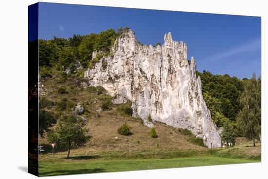 Germany, Bavaria, Upper Bavaria, AltmŸhltal (Valley), Wellheim-Udo Siebig-Stretched Canvas