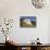 Germany, Bavaria, Upper Bavaria, AltmŸhltal (Valley), Wellheim-Udo Siebig-Mounted Photographic Print displayed on a wall