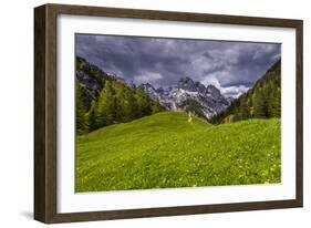 Germany, Bavaria, Upper Bavaria, Berchtesgadener Land (District), National Park Berchtesgaden-Udo Siebig-Framed Photographic Print