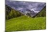 Germany, Bavaria, Upper Bavaria, Berchtesgadener Land (District), National Park Berchtesgaden-Udo Siebig-Mounted Photographic Print