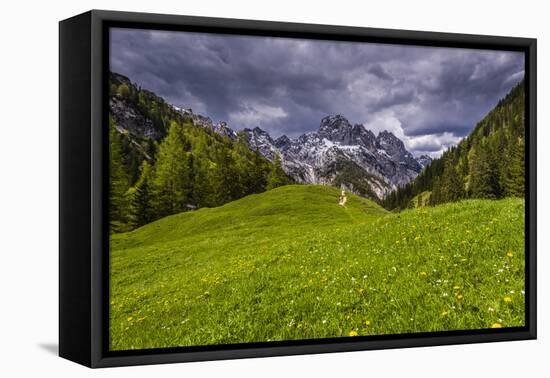 Germany, Bavaria, Upper Bavaria, Berchtesgadener Land (District), National Park Berchtesgaden-Udo Siebig-Framed Stretched Canvas