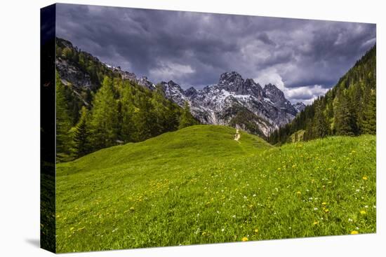 Germany, Bavaria, Upper Bavaria, Berchtesgadener Land (District), National Park Berchtesgaden-Udo Siebig-Stretched Canvas