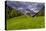 Germany, Bavaria, Upper Bavaria, Berchtesgadener Land (District), National Park Berchtesgaden-Udo Siebig-Stretched Canvas