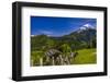 Germany, Bavaria, Upper Bavaria, Berchtesgadener Land (District), Ramsau Near Berchtesgaden-Udo Siebig-Framed Photographic Print