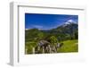 Germany, Bavaria, Upper Bavaria, Berchtesgadener Land (District), Ramsau Near Berchtesgaden-Udo Siebig-Framed Photographic Print