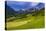 Germany, Bavaria, Upper Bavaria, Berchtesgadener Land, Ramsau Near Berchtesgaden-Udo Siebig-Stretched Canvas