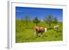 Germany, Bavaria, Upper Bavaria, Chiemgau, Samerberg (Mountain-Udo Siebig-Framed Photographic Print