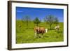 Germany, Bavaria, Upper Bavaria, Chiemgau, Samerberg (Mountain-Udo Siebig-Framed Photographic Print