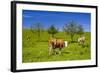 Germany, Bavaria, Upper Bavaria, Chiemgau, Samerberg (Mountain-Udo Siebig-Framed Photographic Print