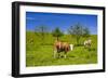 Germany, Bavaria, Upper Bavaria, Chiemgau, Samerberg (Mountain-Udo Siebig-Framed Photographic Print