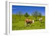 Germany, Bavaria, Upper Bavaria, Chiemgau, Samerberg (Mountain-Udo Siebig-Framed Photographic Print