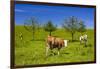 Germany, Bavaria, Upper Bavaria, Chiemgau, Samerberg (Mountain-Udo Siebig-Framed Premium Photographic Print