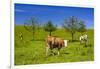 Germany, Bavaria, Upper Bavaria, Chiemgau, Samerberg (Mountain-Udo Siebig-Framed Photographic Print